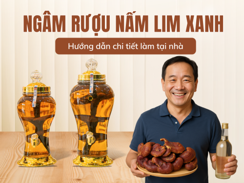 Ngâm rượu nấm Lim Xanh: Hướng dẫn chi tiết từ A đến Z